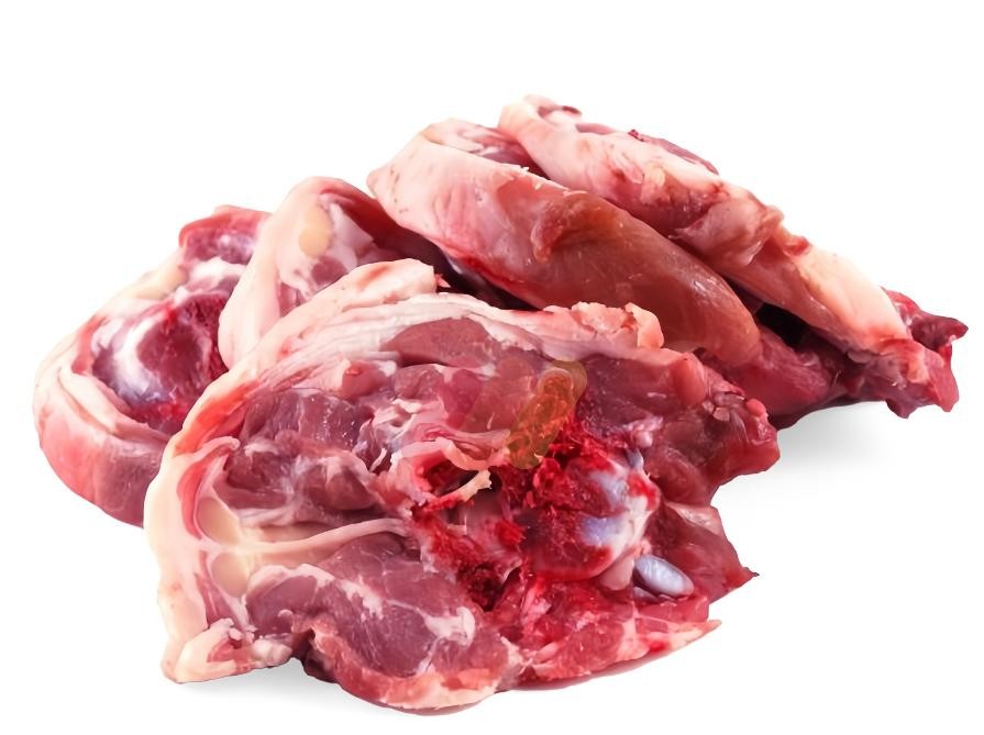 رقبه ضاني بلدي