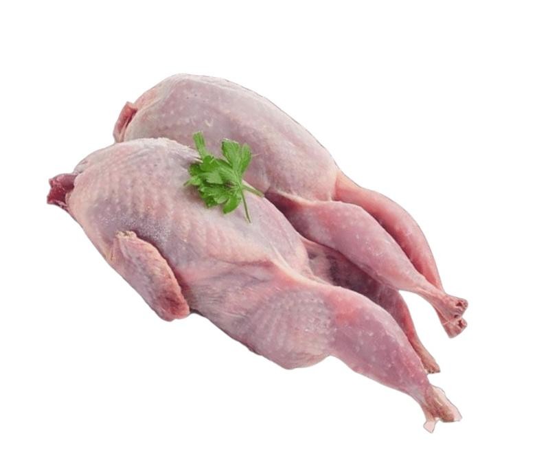 نور سمان ذهبي جامبو 2 قطعه