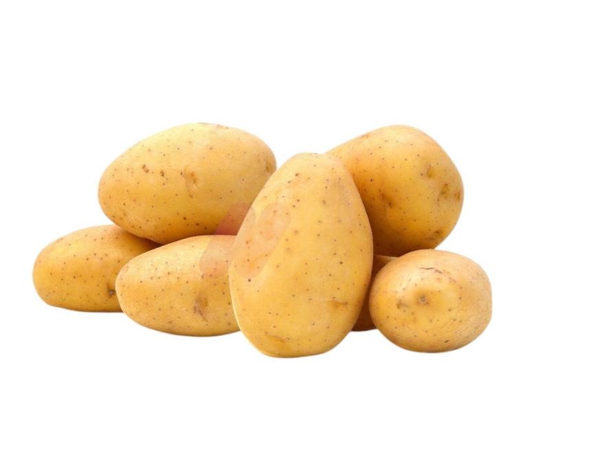 محمود الفار بطاطس 2 ك