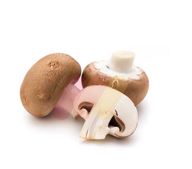 مشروم فريش 200 جرام