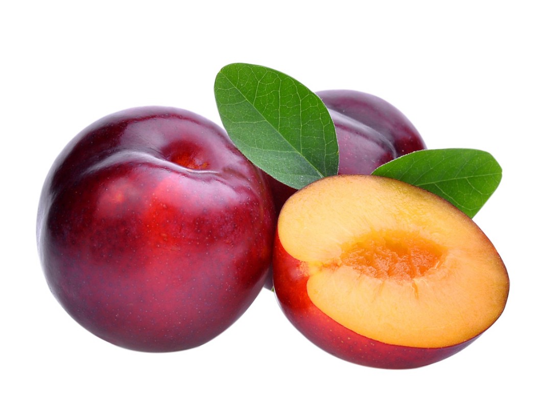 برقوق احمر مستورد