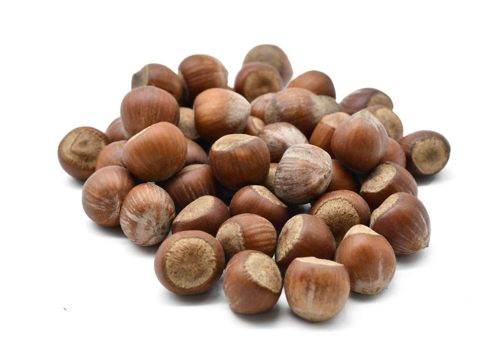 ابو عوف بندق حصي جامبو