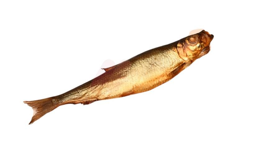 ابو السيد رنجه فريش مبطرخ